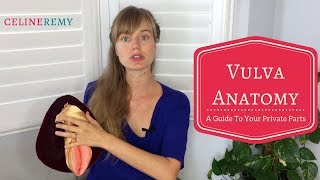 Vulva Anatomy  A Guide To Your Private Parts [upl. by Eirahcaz]