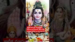 కార్తీక మాసంలో ముఖ్యమైన రోజులు పూజలుytshorts [upl. by Haimerej779]