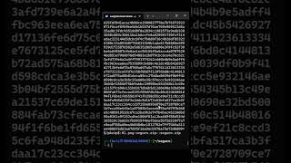 Password cracker tool in Kali linux Johntharipper password starthaking cyber [upl. by Whit]