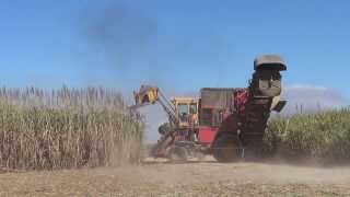 Sugar Cane Harvester in Australia [upl. by Ednalrim]