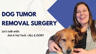 Dog TUMOR REMOVAL Surgery Steps to help in Recovery [upl. by Kire497]