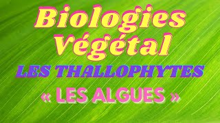 Cours Biologies Végétal Les Thallophytes « Les algues » [upl. by Rendrag]