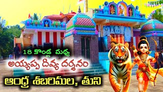 ఆంధ్ర శబరిమళ్ల quotAndhra Sabarimala Temple  Ultimate Guide amp Pilgrimage Experiencequot [upl. by Sofko]