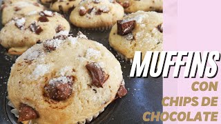 Muffins de Vainilla con Chips de Chocolate [upl. by Nimrak]