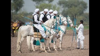 Day 5 Part 13 National championship of Neza Bazi 2018 Faisalabad Agriculture University Tent Pegging [upl. by Ttihw85]