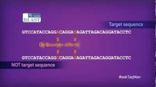 Which Quencher Molecule is Best for TaqMan® Probes in RealTime PCR  Ask TaqMan® Ep 3 [upl. by Zapot470]