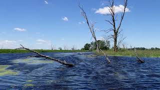 Kayaking the Scuppernong River in Wisconsin [upl. by Donaghue]