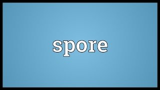 Spore Meaning [upl. by Delmore430]