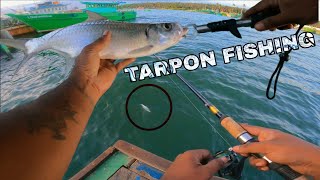 TARPON FISHING USING ULTRA LIGHT Set Up  Lucana Stream 35s Lure tarpon jrsafishing [upl. by Onida]