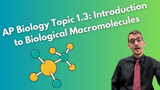 13 Introduction to Biological Macromolecules  AP Biology [upl. by Yemiaj]