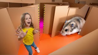 Nastya and the hamsters escape from the cardboard maze [upl. by Ecnarret648]