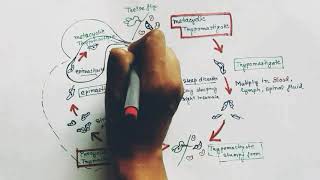 Trypanosoma Lifecycle Hindi  Trypanosoma gambiense lifecycle  Trypanosoma brucei  Trypanosomiasis [upl. by Suirradal]