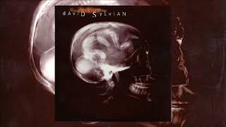 David Sylvian  God Man Full EP [upl. by Dare]