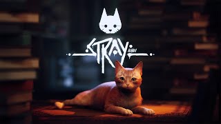 🔴LIVE  Stray Day 2 [upl. by Kaylyn]