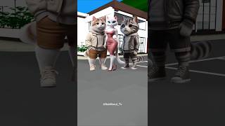 Come on my cute kitty lets cruise around the city catlover funny cutecat [upl. by Hutchinson253]