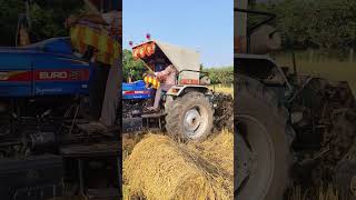 Powertrac euro50 with Redlands baler today field start 🤩bhavanitractorvlogs tractorvideo [upl. by Arocat]