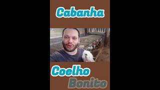 Cabanha Coelho Bonito [upl. by Femmine]