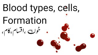 blood study notes hematologyheamoglobinbloodpressure hematology [upl. by Eetnom405]