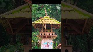 Dovecote Pigeon House pigeonlover pigeonloft birdhouse [upl. by Atsirak]