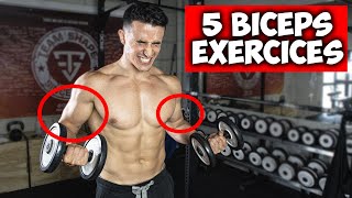 Des bras plus gros en 30jours  5 exercices biceps [upl. by Drareg944]