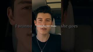 Theres nothing holdin me back music lyrics theresnothingholdingmeback shawnmendes foryou vir [upl. by Ardnod]