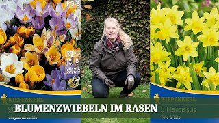 Blumenzwiebeln im Rasen  Wie man Zwiebeln richtig im Rasen einpflanzt [upl. by Waldack]