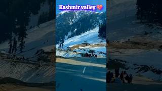 Haven Garden of Kashmir valley of India 🇮🇳 🇮🇳❤️❤️kashmir incredibleindia shortfeed viralvideo [upl. by Adnohryt]