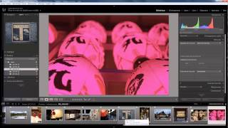 Lightroom Plugin 10  DXO optics pro [upl. by Aiselad]