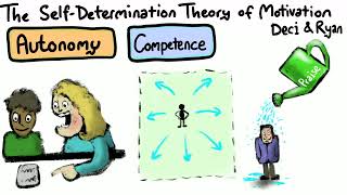 Self determination Theory of Motivation [upl. by Dustin]