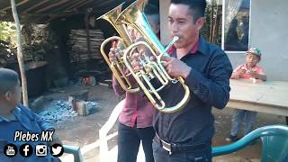 El Son del campesino  Banda de Viento Luz Divina de Chichatla Tlanchinol Hgo [upl. by Madai981]