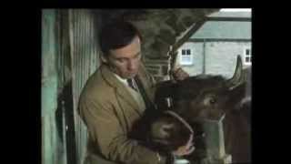 James Herriot op NostalgieNet [upl. by Kate68]