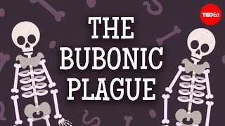 The past present and future of the bubonic plague  Sharon N DeWitte [upl. by Nanah707]