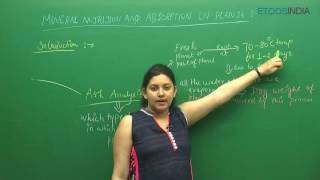 Mineral Nutrition I NEET  Biology by Shivani Bhargava SB Mam  Etoosindia [upl. by Meri]