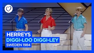 Herreys  DiggiLoo DiggiLey  Sweden 🇸🇪  Winner of Eurovision 1984 [upl. by Brebner]