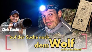 Nach dem Luchs versuchen wir den Wolf [upl. by Taddeo]