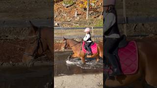 Homemade cross country riding arena🐎💨 shorts horse equestrian [upl. by Eey594]