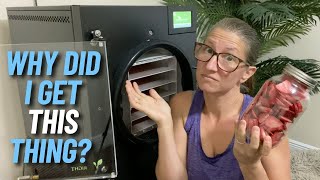 The Most Honest Freeze Dryer Review [upl. by Cliffes]