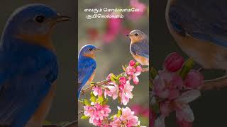 Thendral vanthu theendum song lyricsIlayarajaavatharam [upl. by Sivle]