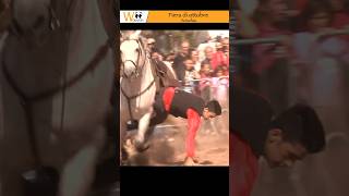 Fiera di ottobre shorts horse volteggi [upl. by Lytle705]