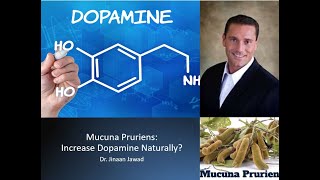 Mucuna Pruriens Does It Increase Dopamine Naturally [upl. by Garwood]