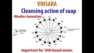 10TH ch4 topic cleansing action of soap Micelle formation [upl. by Thanos]