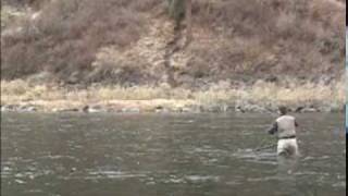 Steelhead Fly fishing the Grande Ronde river in Washington [upl. by Goldfarb]