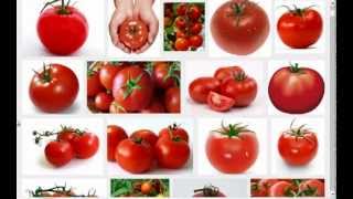 Spiras Favorite Mucusless Diet Healing System Foods Raw Veggies Part 4 [upl. by Eillib]