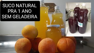 COMO FAZER SUCO NATURAL PRO ANO TODO [upl. by Etiam]