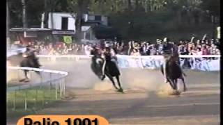 Palio Di Fucecchio 1991 [upl. by Eladnek508]