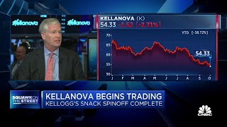 Kellanova CEO Steve Cahillane on spinoff We still have tremendous scale [upl. by Nolahc]