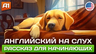 Lazy Dog 🎧 Рассказ на английском для начинающих А1А2 [upl. by Barhos]