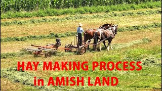 AMISH LAND Hay Making with HORSES in Late SUMMER Lancaster County PA Cutting Raking and Baling [upl. by Littlejohn]