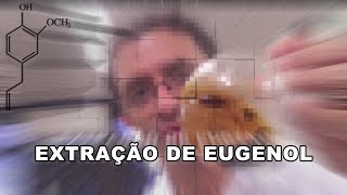 Extração de Eugenol [upl. by Nirred]