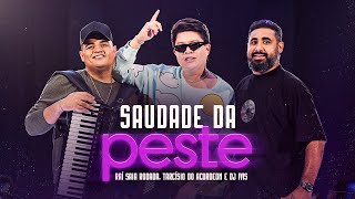 Raí Saia Rodada Tarcísio do Acordeon e DJ Ivis  Saudade Da Peste [upl. by Ardnic]